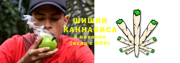 не бодяженный Горнозаводск