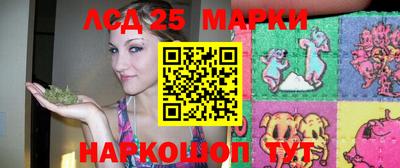 мдпв Бийск
