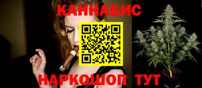 мдпв Бийск