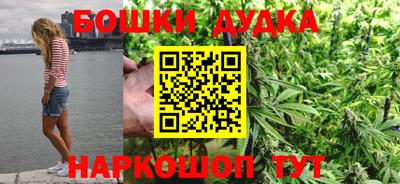 мдпв Бийск