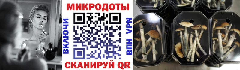 Галлюциногенные грибы GOLDEN TEACHER  как найти наркотики  Дивногорск 