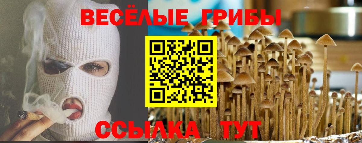 Галлюциногенные грибы мицелий  Дивногорск 