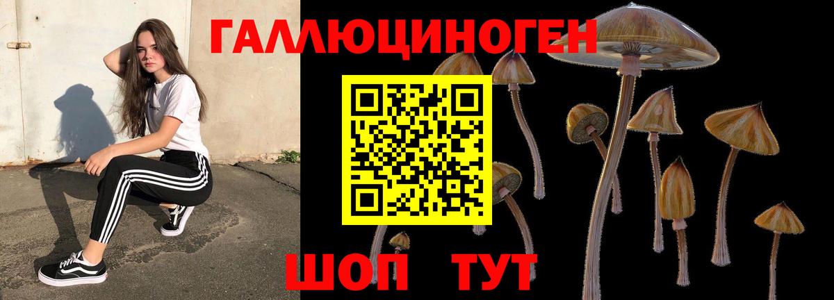 Псилоцибиновые грибы Magic Shrooms  Псилоцибиновые грибы прущие грибы  Дивногорск  купить наркоту  Вход с VPN 
